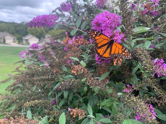 Scrapbook Showcase: Home Sweet Home